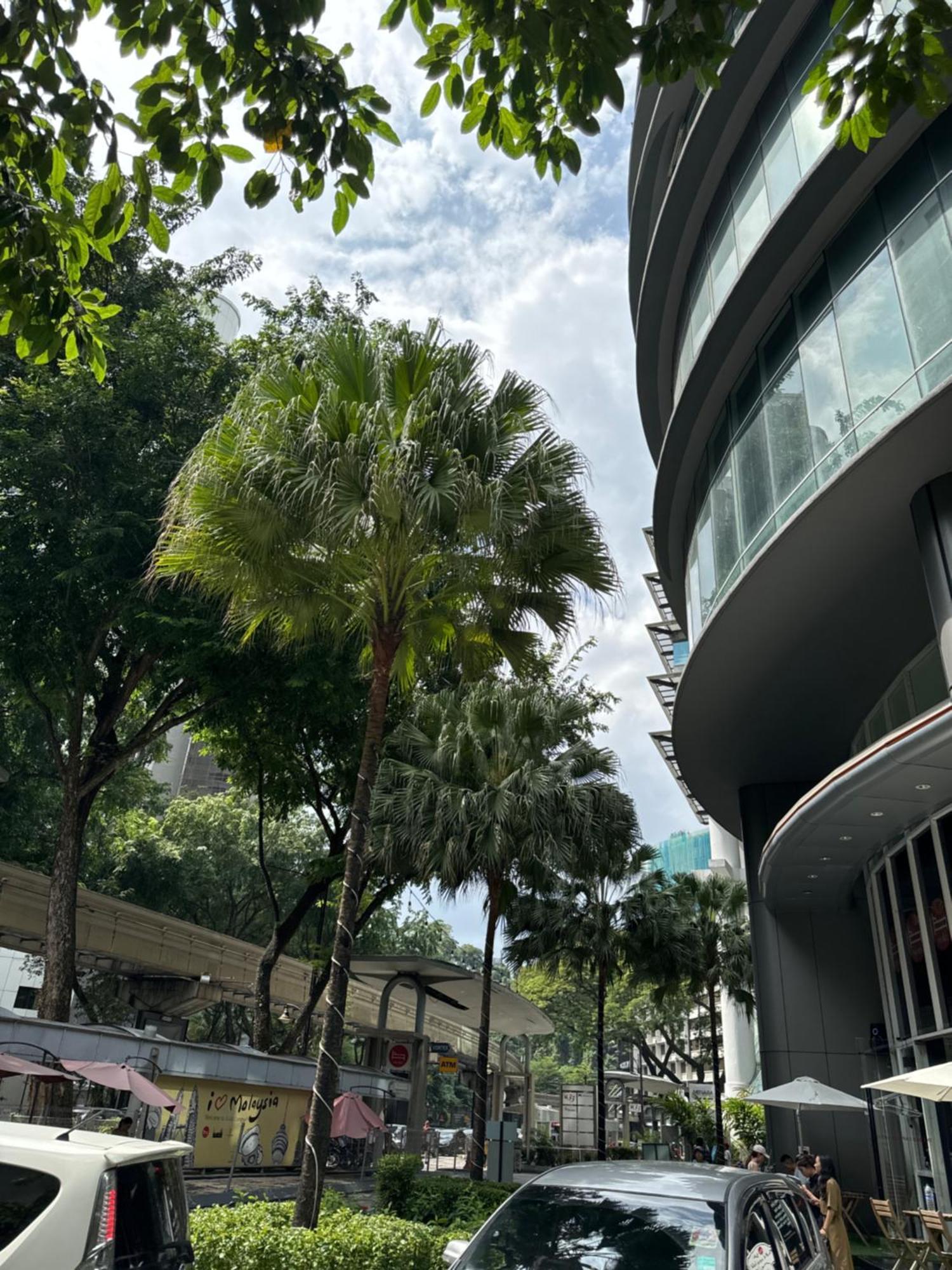 Vortex Suites Klcc 2Bedroom & 3Bedroom Apartment クアラルンプール エクステリア 写真